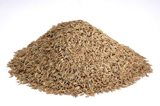 mountain of asian spice cumin seeds