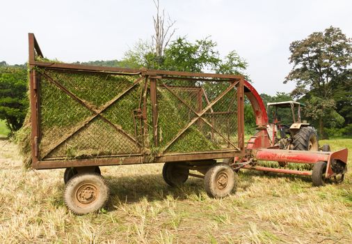 Hay wagon with fresh cut hay or straw