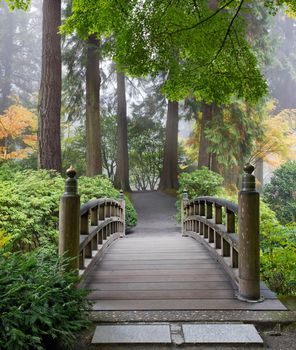 Foggy Morning by Wooden Foot Bridge at Japanese Garden in Autumn