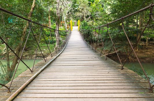 Rope walkway through the treetops in a rain forest