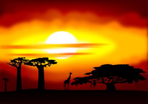 Abstract illustration of the sunset in Africa