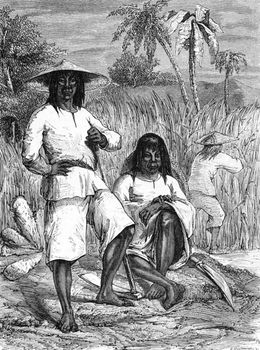 Chinese Coolies in the Havana on engraving from 1871.