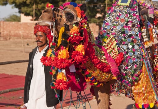 Man leading a ornately decorated camel at the annual Nagaur Cattle Fair in Rajasthan, India