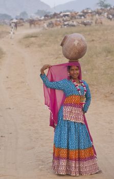 Indian woman in colorful sari carry water through the desert at the annual camel fair in Pushkar, Rajasthan, India