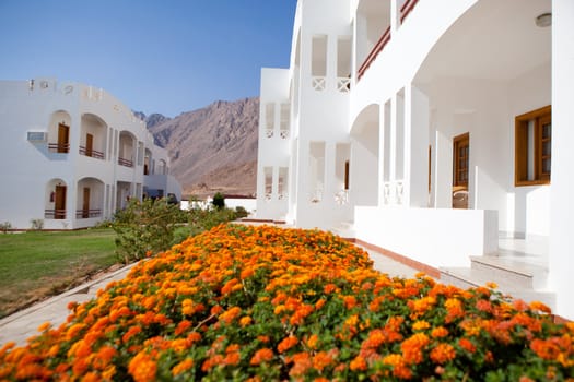 hotel with flowers by the mountais