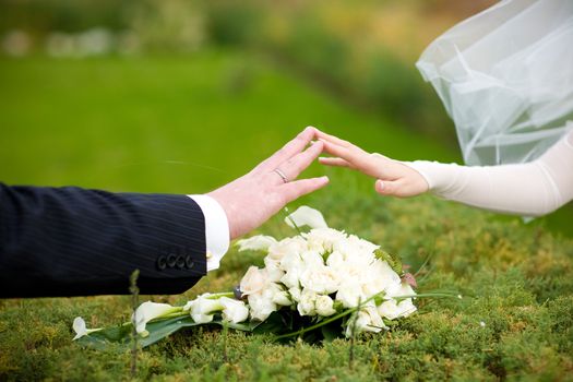 touch of the fingers of bride and groom