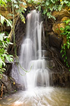 Small waterfall in the garden