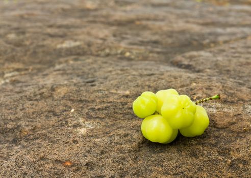 Star Gooseberry On stone background