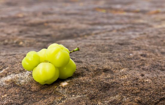 Star Gooseberry On stone background