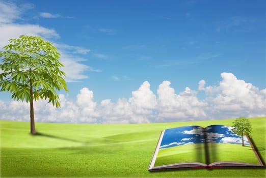 Wooden sign on the green field with blue sky