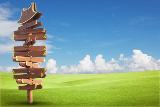 Wooden sign on the green field with blue sky