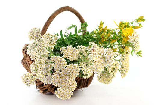 fresh yarrow and St. John's Wort in a basket
