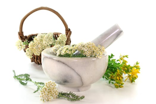 fresh yarrow and hypericum in a mortar
