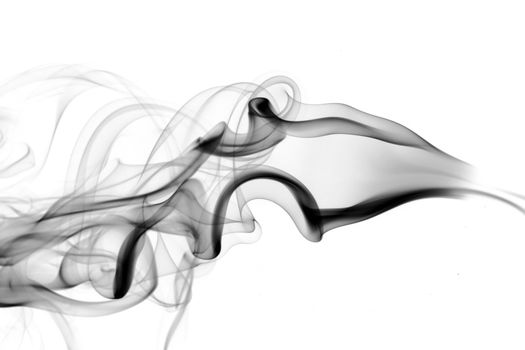 Abstract puff of black smoke over the white background