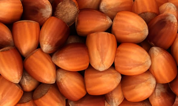Filbert nuts texture or background. CG render
