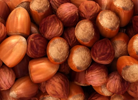 Hazel nuts and filbert texture or background. CG render