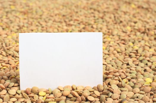 Raw dried lentils (lat. Lens culinaris) with a blank card (Selective Focus, Focus on the card)