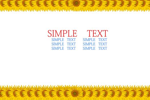 sunflower frame with space for text