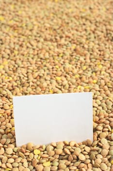 Raw dried brown lentils (lat. Lens culinaris) with a blank card (Selective Focus, Focus on the card)