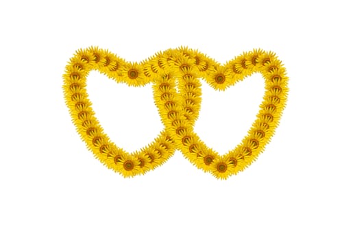 Sunflower petals in heart symbol isolated on white