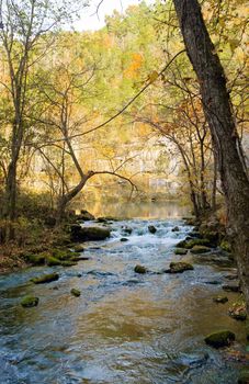beautiful little stream in autumn in missouri