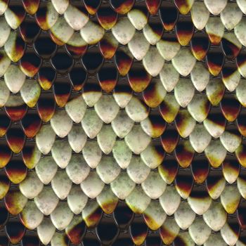 illustration of snake reptile scales background texture