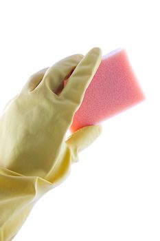 Hand in protective gloves holding sponge over white