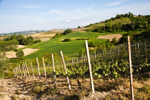 Landscape of Monferrato area in Piedmont region - Italy