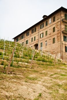 Landscape of Monferrato area in Piedmont region - Italy