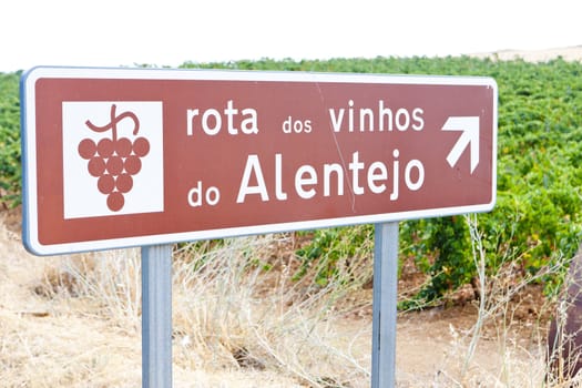 vineyars and wine route in Alentejo, Portugal