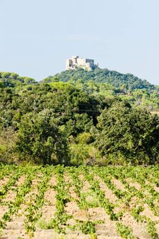 castle Saint Martin with vineyard, Languedoc-Roussillon, France