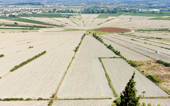 Lake Montady, Languedoc-Roussillon, France