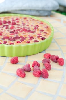 Shot of raspberry pie on the table