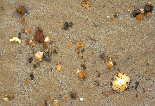 wet colorful stones and shell on sand beach