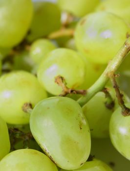 Close up of the green grape for the background.