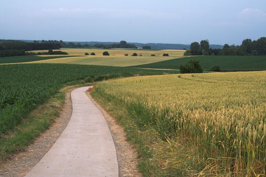 Evening fields with narrow deserted road