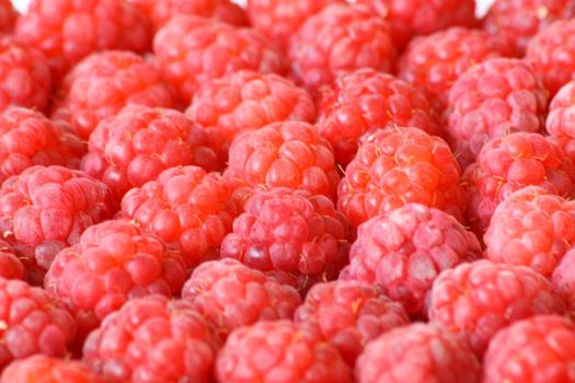 Close up of the ripe raspberry for the background.