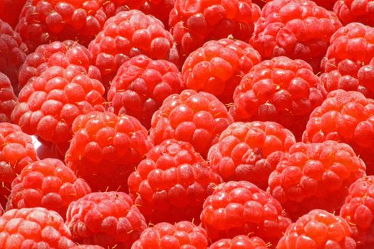 Close up of the fresh ripe raspberry for the background.