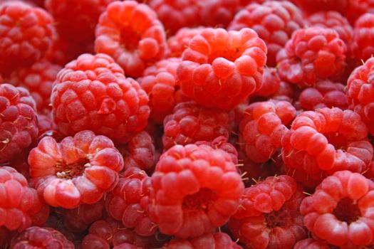 Close up of the raspberry for the background