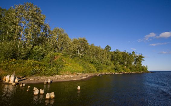 Blue river mouth and the green forest of the North Woods of Minnesota along the shore of Lake Superior.