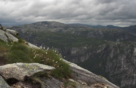 Flowers growing on a slope of a mountain surrounded by rocks; dramatic sky; geometrical shapes.