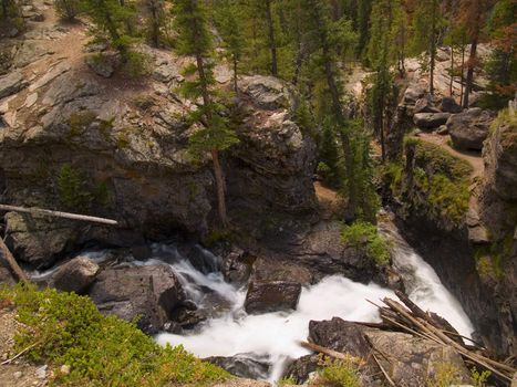 Adams Falls twists as it descends through Rocky Mountain National Park