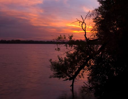 Sunrise image of a silhouetted branch in the moving water of Lake Mitchell