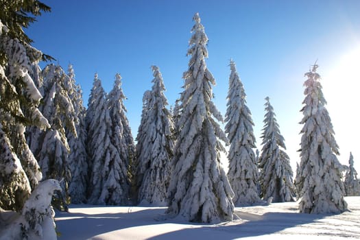 winter landscape with sunbeam