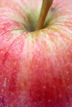 detail of a red apple