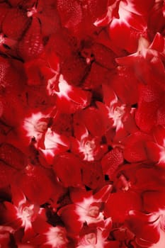 Abstract background