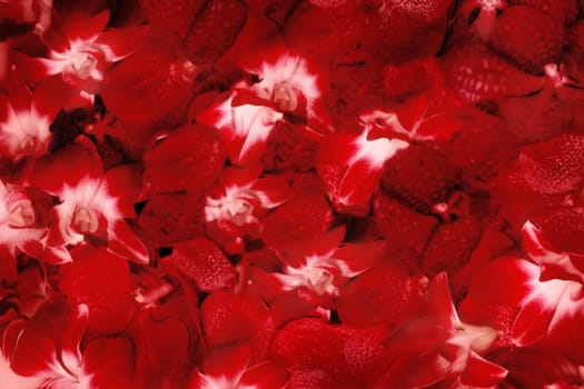 Abstract background
