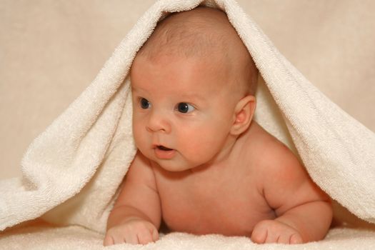 newborn baby under towel