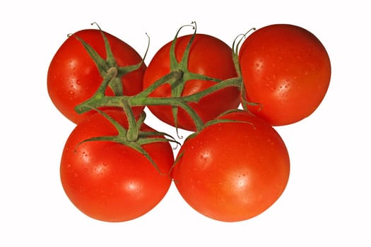 isolated tomatoes on the white background, clipping path 