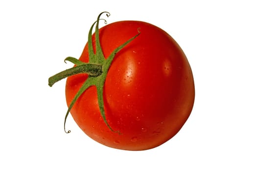 isolated tomato